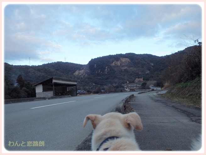 f:id:yasukazu01:20150112202402j:image