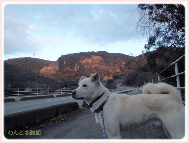 f:id:yasukazu01:20150112202539j:image