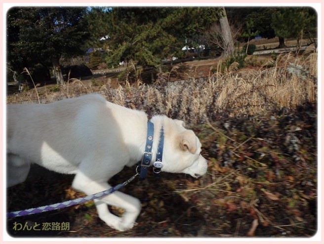 20150112202641