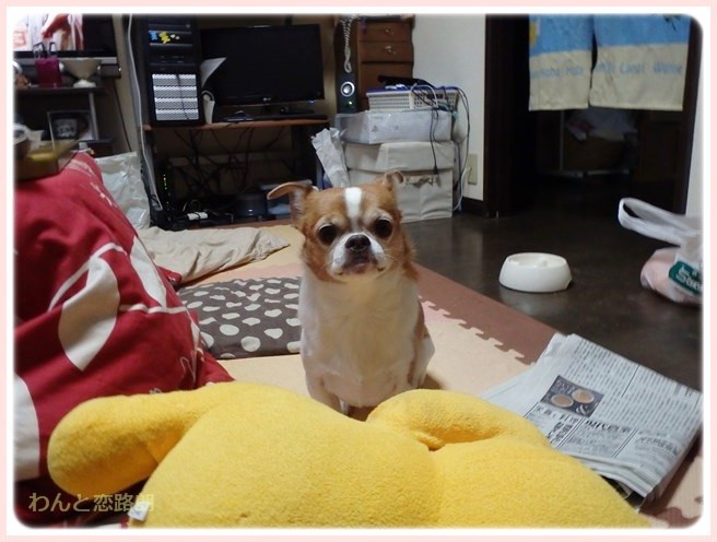 f:id:yasukazu01:20150113222332j:image