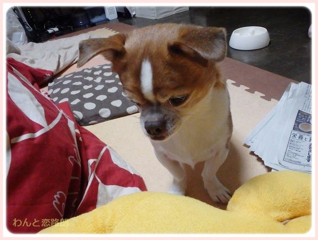 f:id:yasukazu01:20150113222524j:image