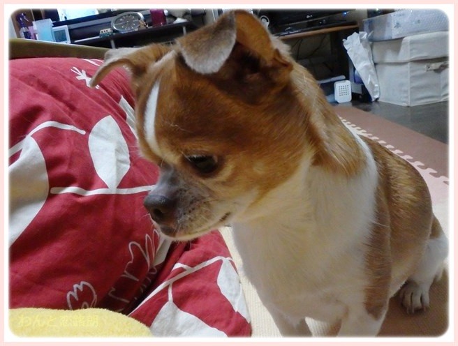 20150113222632