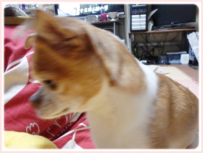 f:id:yasukazu01:20150113222700j:image