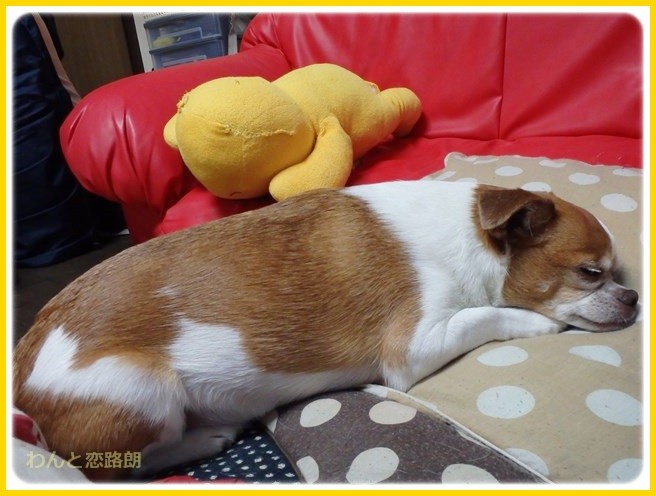 f:id:yasukazu01:20150113222954j:image