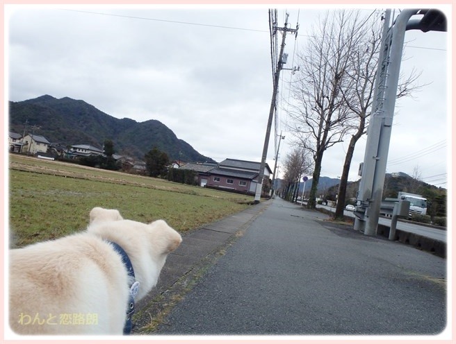 f:id:yasukazu01:20150115210605j:image