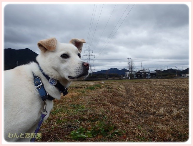 f:id:yasukazu01:20150115211528j:image