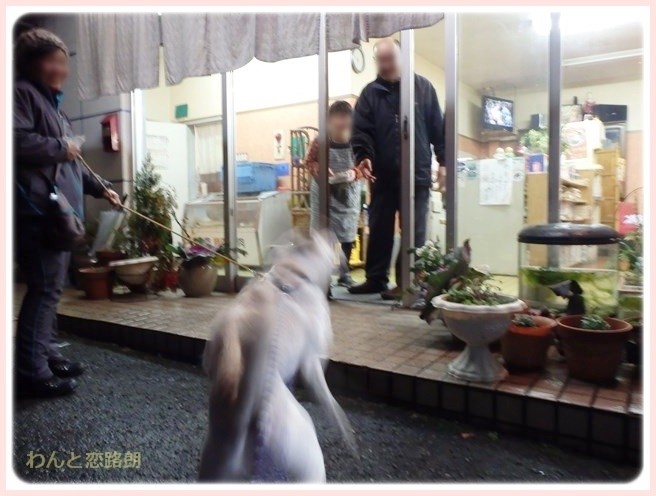 f:id:yasukazu01:20150115212056j:image