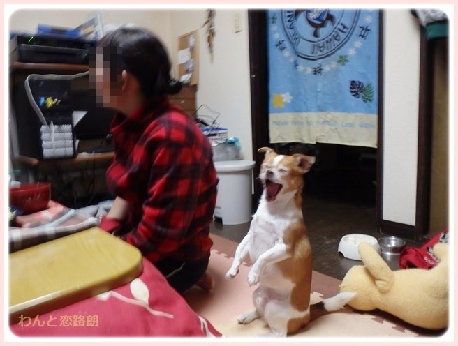 f:id:yasukazu01:20150116231206j:image