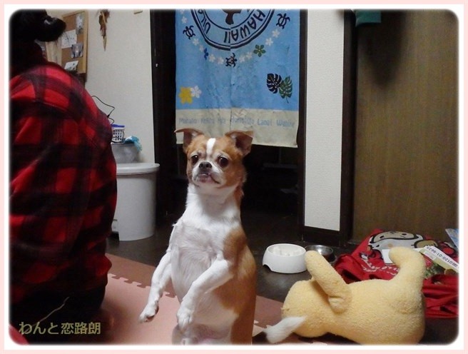 f:id:yasukazu01:20150116231310j:image