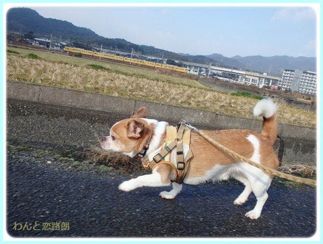 f:id:yasukazu01:20150117211655j:image f:id:yasukazu01:20150117211655j:image