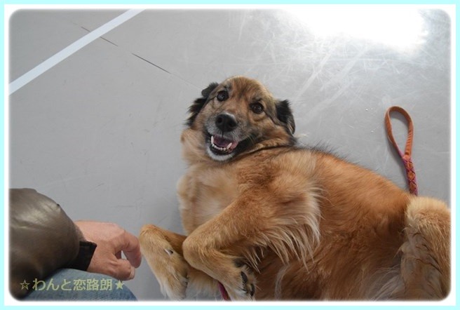 f:id:yasukazu01:20150117212255j:image f:id:yasukazu01:20150117212255j:image