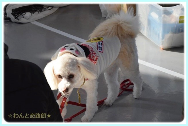 f:id:yasukazu01:20150117212438j:image f:id:yasukazu01:20150117212438j:image