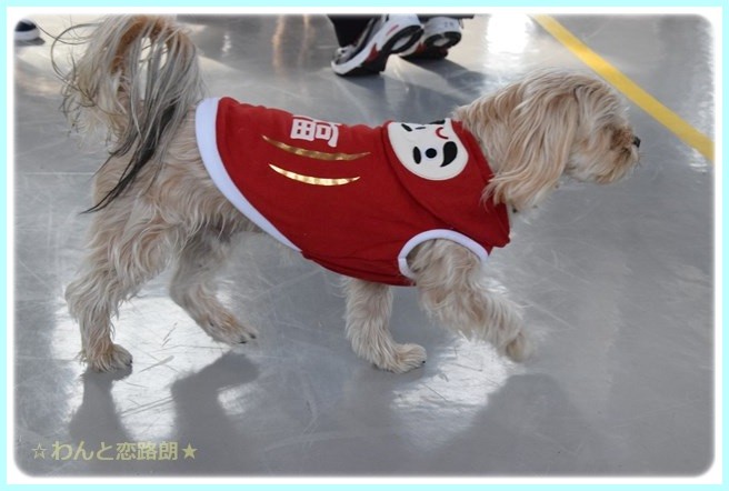 f:id:yasukazu01:20150117212736j:image f:id:yasukazu01:20150117212736j:image