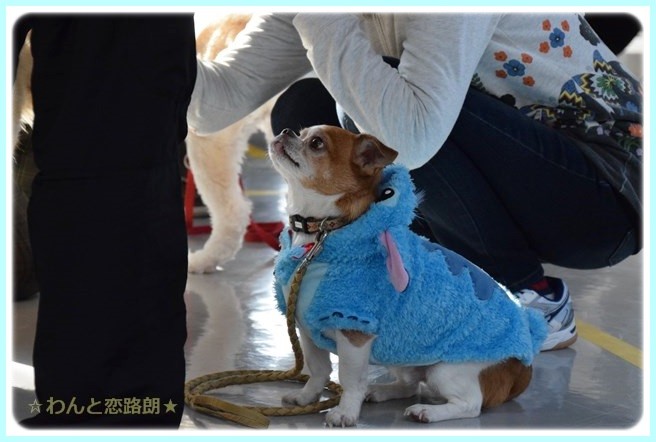 f:id:yasukazu01:20150117213047j:image f:id:yasukazu01:20150117213047j:image