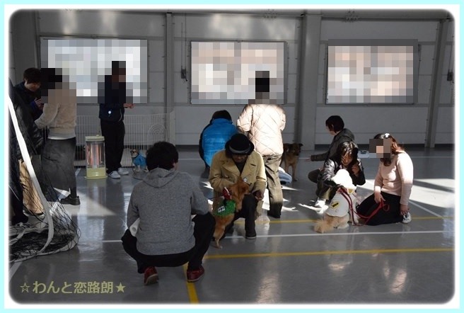 f:id:yasukazu01:20150118221630j:image