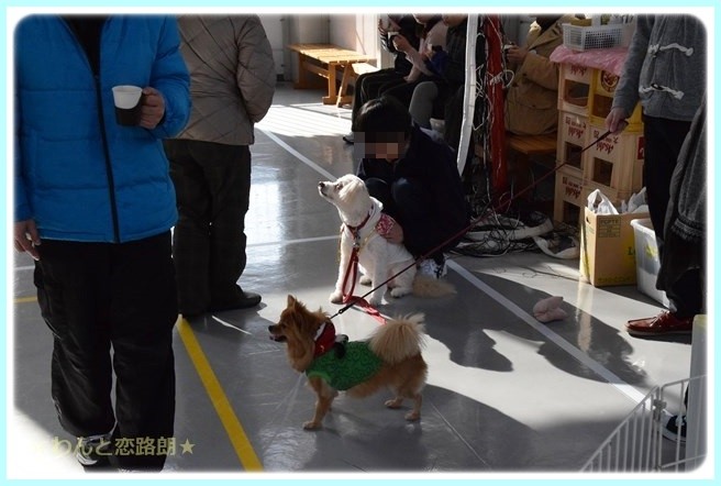 f:id:yasukazu01:20150118222834j:image