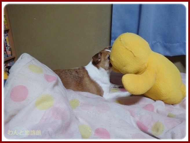 20150124230557