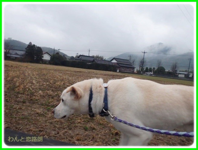 f:id:yasukazu01:20150126203201j:image f:id:yasukazu01:20150126203201j:image