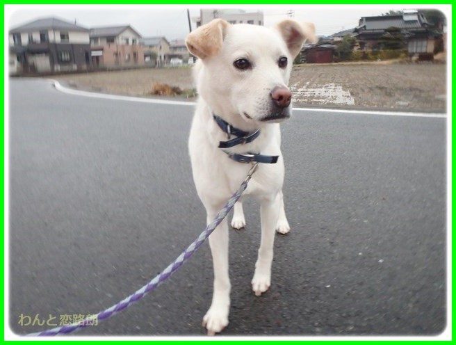f:id:yasukazu01:20150126203256j:image f:id:yasukazu01:20150126203256j:image