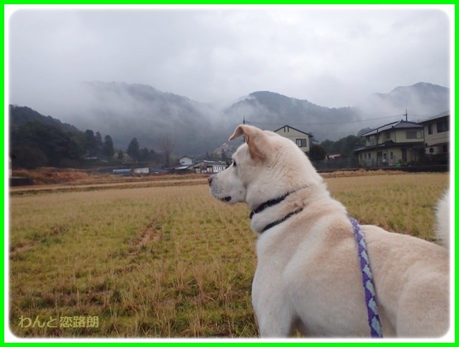 f:id:yasukazu01:20150126203503j:image f:id:yasukazu01:20150126203503j:image