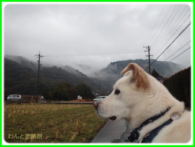 f:id:yasukazu01:20150126203602j:image f:id:yasukazu01:20150126203602j:image