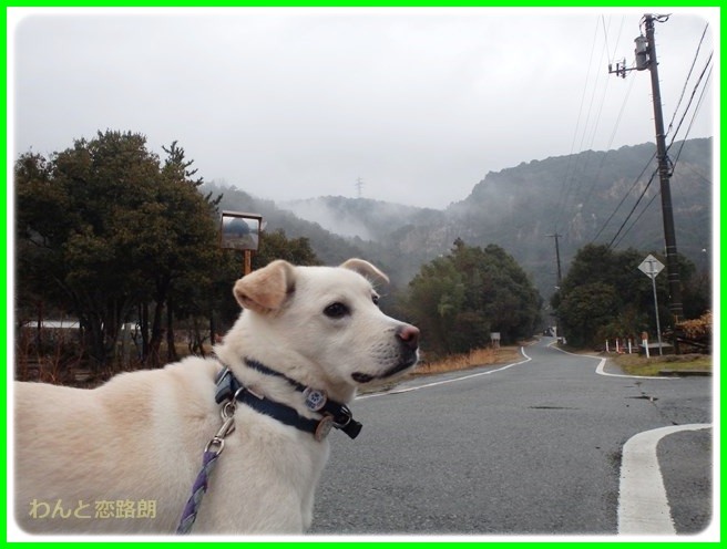 f:id:yasukazu01:20150126203932j:image f:id:yasukazu01:20150126203932j:image