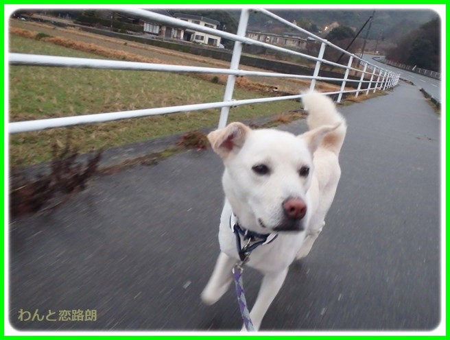 f:id:yasukazu01:20150126204421j:image f:id:yasukazu01:20150126204421j:image