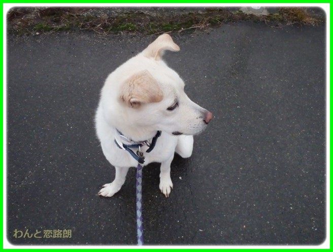 f:id:yasukazu01:20150126204652j:image f:id:yasukazu01:20150126204652j:image
