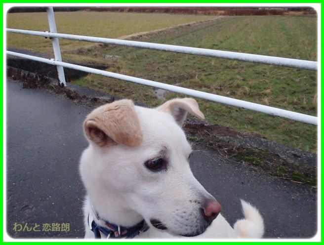 f:id:yasukazu01:20150126204753j:image f:id:yasukazu01:20150126204753j:image