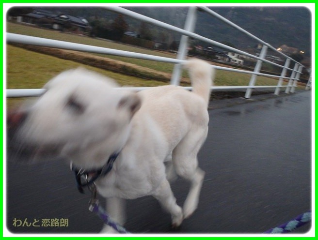 f:id:yasukazu01:20150126205043j:image f:id:yasukazu01:20150126205043j:image