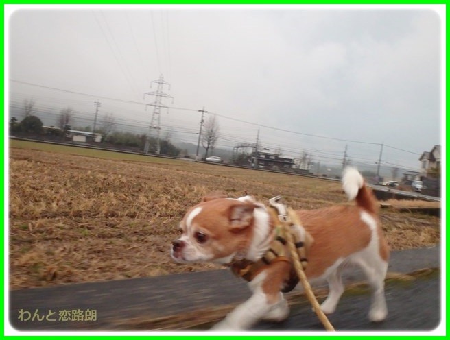 f:id:yasukazu01:20150126205303j:image f:id:yasukazu01:20150126205303j:image
