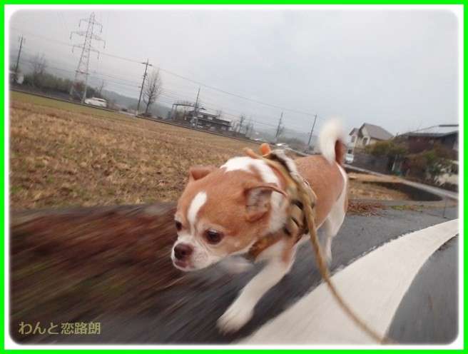 f:id:yasukazu01:20150126205332j:image f:id:yasukazu01:20150126205332j:image