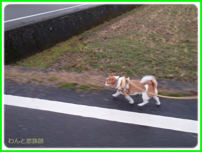 f:id:yasukazu01:20150126205435j:image f:id:yasukazu01:20150126205435j:image