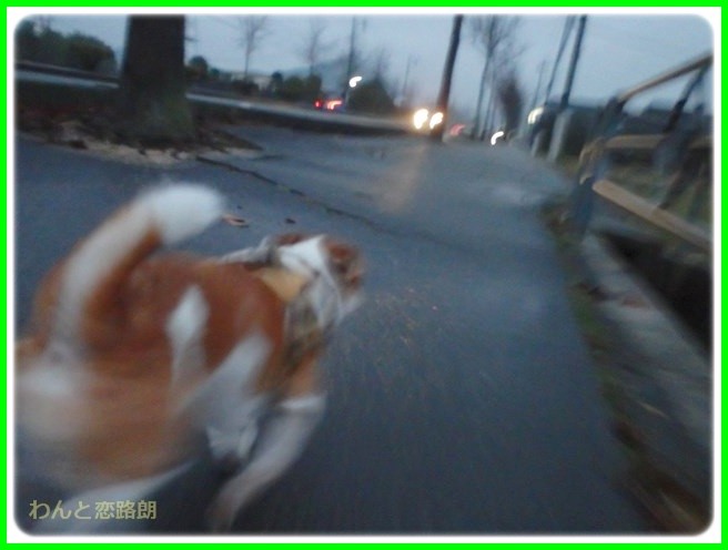 f:id:yasukazu01:20150126205658j:image f:id:yasukazu01:20150126205658j:image