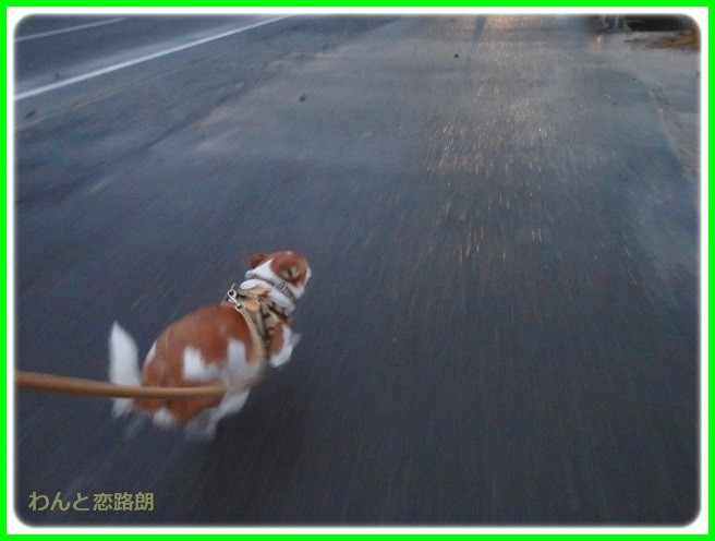 f:id:yasukazu01:20150126205755j:image f:id:yasukazu01:20150126205755j:image