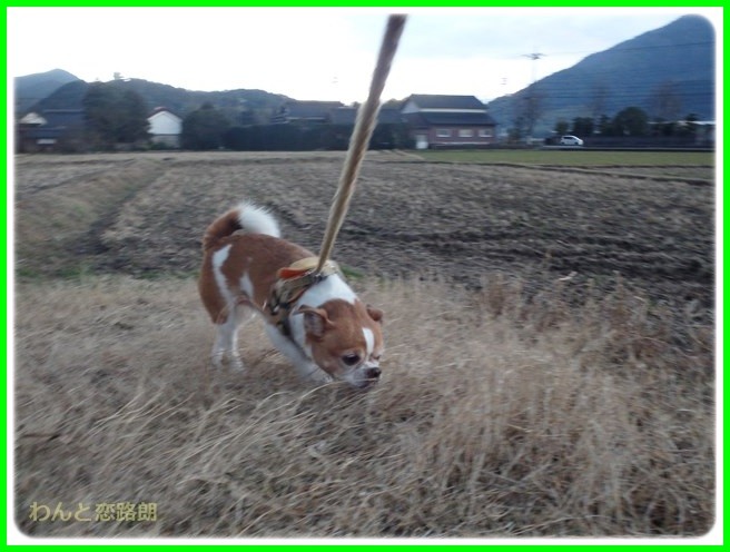 f:id:yasukazu01:20150129214012j:image