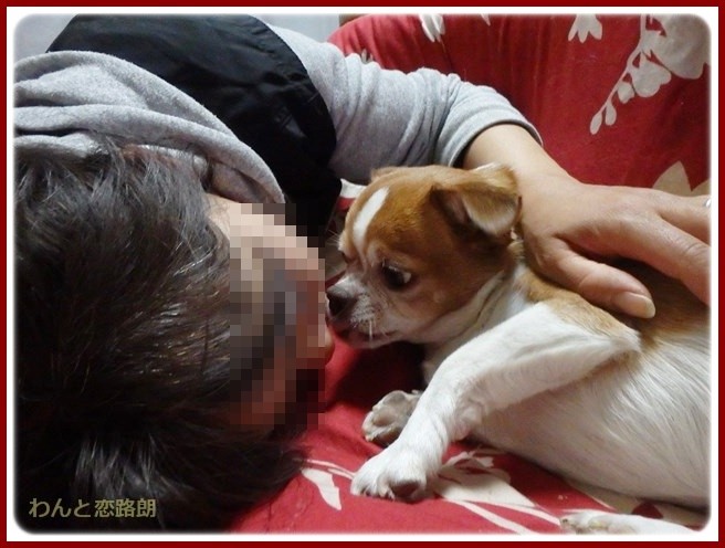 f:id:yasukazu01:20150130223220j:image