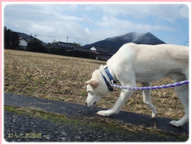 f:id:yasukazu01:20150131221058j:image