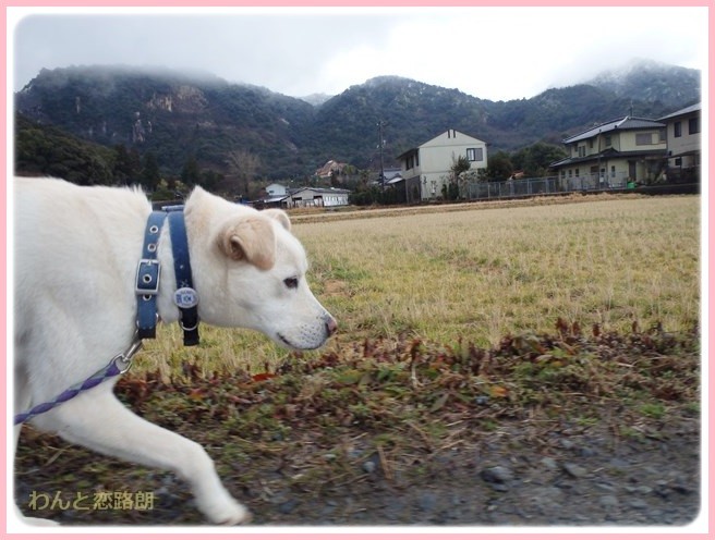 f:id:yasukazu01:20150131221224j:image