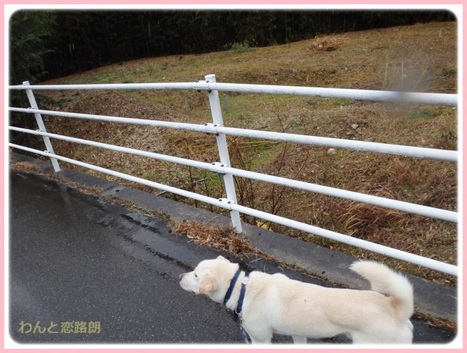 f:id:yasukazu01:20150131222226j:image