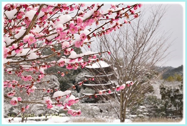 f:id:yasukazu01:20150313205348j:image