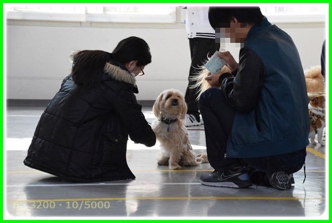 f:id:yasukazu01:20150314201757j:image