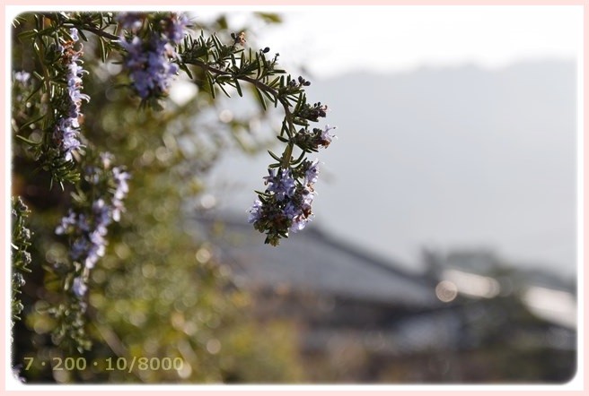 f:id:yasukazu01:20150317193606j:image f:id:yasukazu01:20150317193606j:image