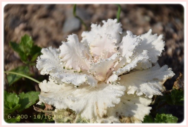 f:id:yasukazu01:20150317193729j:image f:id:yasukazu01:20150317193729j:image