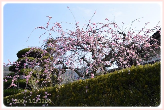 f:id:yasukazu01:20150317194120j:image f:id:yasukazu01:20150317194120j:image