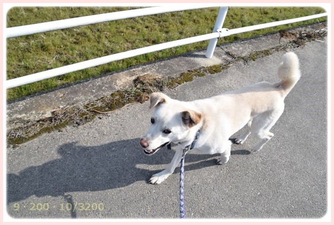 f:id:yasukazu01:20150317194154j:image f:id:yasukazu01:20150317194154j:image