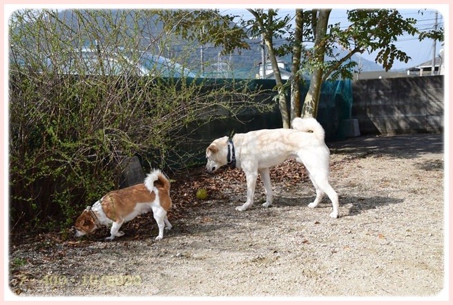 f:id:yasukazu01:20150317194638j:image f:id:yasukazu01:20150317194638j:image