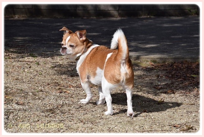 f:id:yasukazu01:20150317195249j:image f:id:yasukazu01:20150317195249j:image