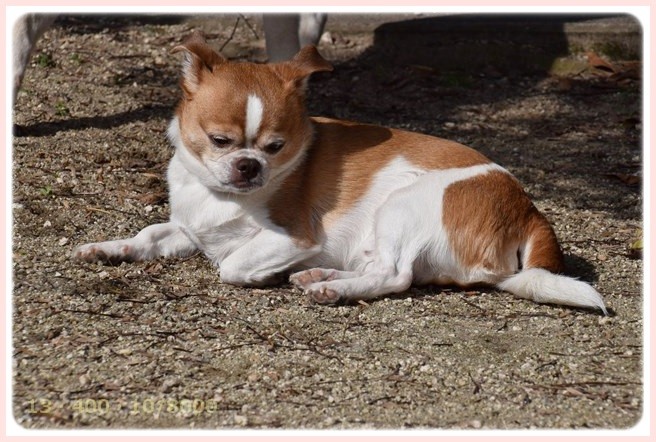 f:id:yasukazu01:20150317195425j:image f:id:yasukazu01:20150317195425j:image