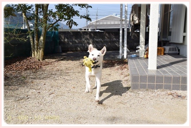 f:id:yasukazu01:20150317195937j:image f:id:yasukazu01:20150317195937j:image